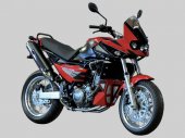 2013 Jawa-CZ 660 photo